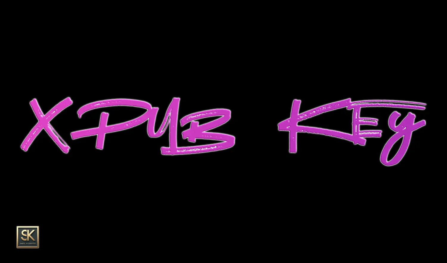 xPub Key (Extended Public Key)