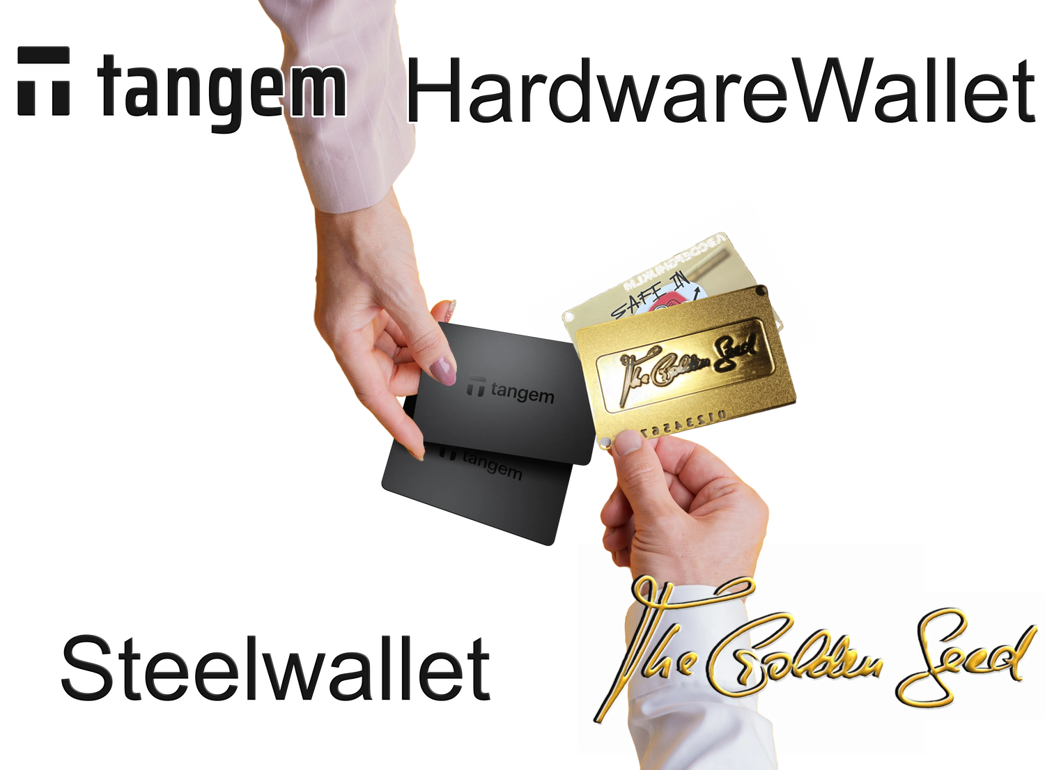 Steelwallet &amp; Hardwarewallet „Krypto Einsteiger-Bundle: The Golden Seed &amp; Tangem Wallet 2er Pack im Set“